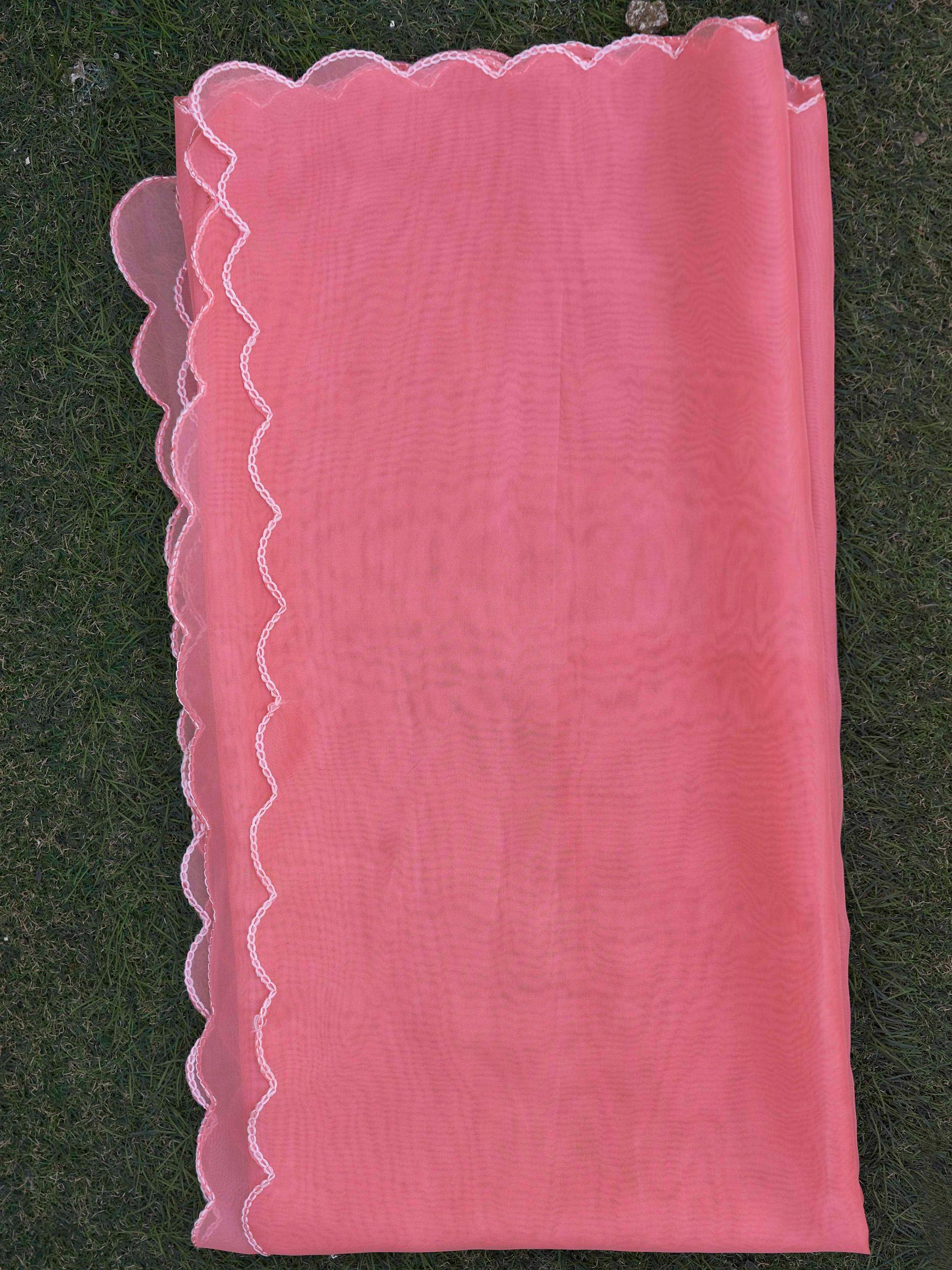 Blush Pink Organza With Tonal Thread Embroidery Round Neck Straight Kurta Set